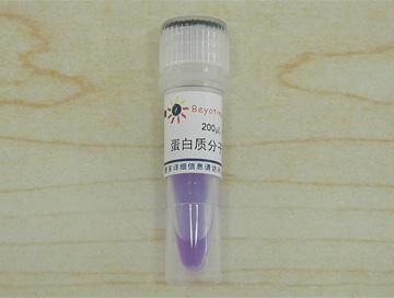 蛋白质分子量标准(14.4-116kD, 非预染)